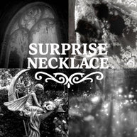 Silver Stainless Steel Surprise Necklace