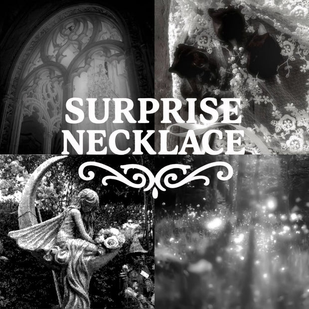 Silver Stainless Steel Surprise Necklace